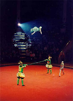 The Nikulin Circus in Moscow