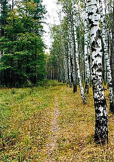 Elk Island National Nature Park in Moscow