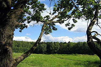 Uzkoe Park in Moscow